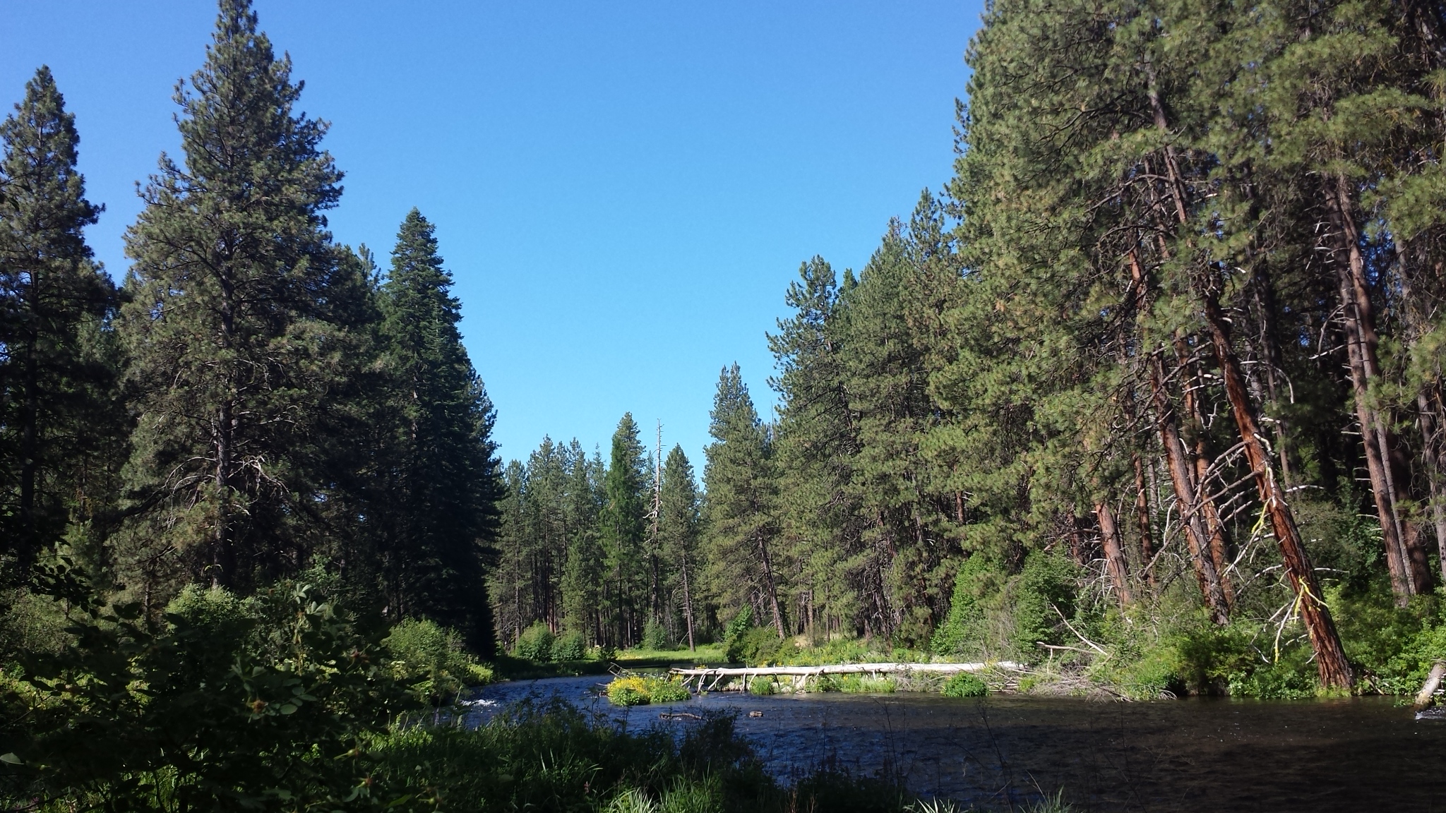 Metolius